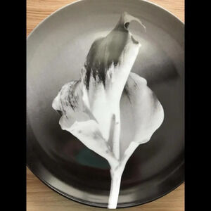ROBERT MAPPLETHORPE 'Flower, 1986 Collector's 12" Plate by Swid Powell